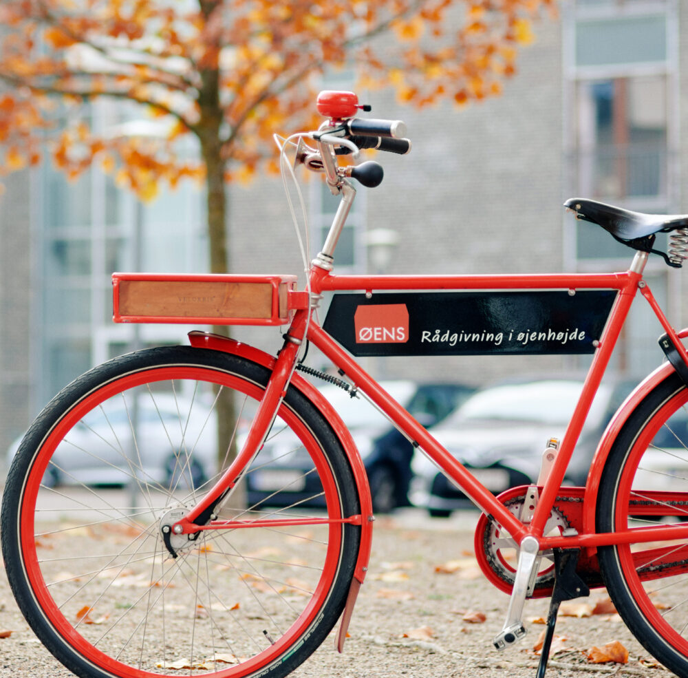 anmeldelser, øens Virksomhedsadministration, bogføring, revisor