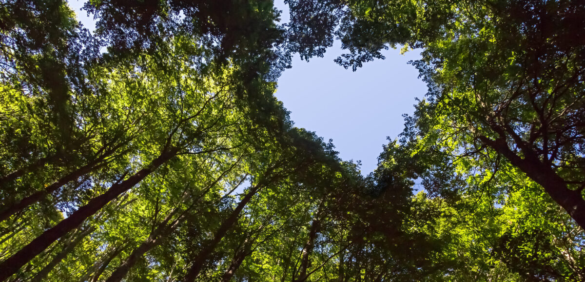 Dødsbo, ØENS Advokatfirma, dødsbobehandling