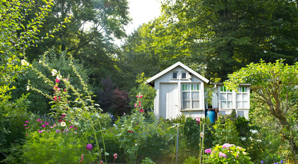 Allotment gardens are in vogue.garden with gardenaus,plants,green,nature,rest,family,recreation,relax,