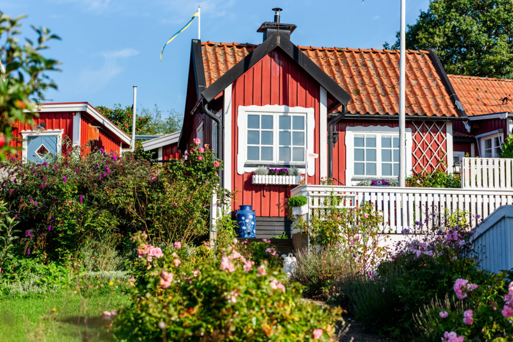 forening økonomi haveforening