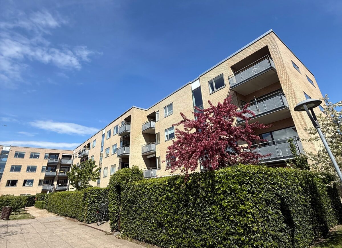 AB Helgoland Strandpark forening, øens ejendomsadministration, administrator, amager