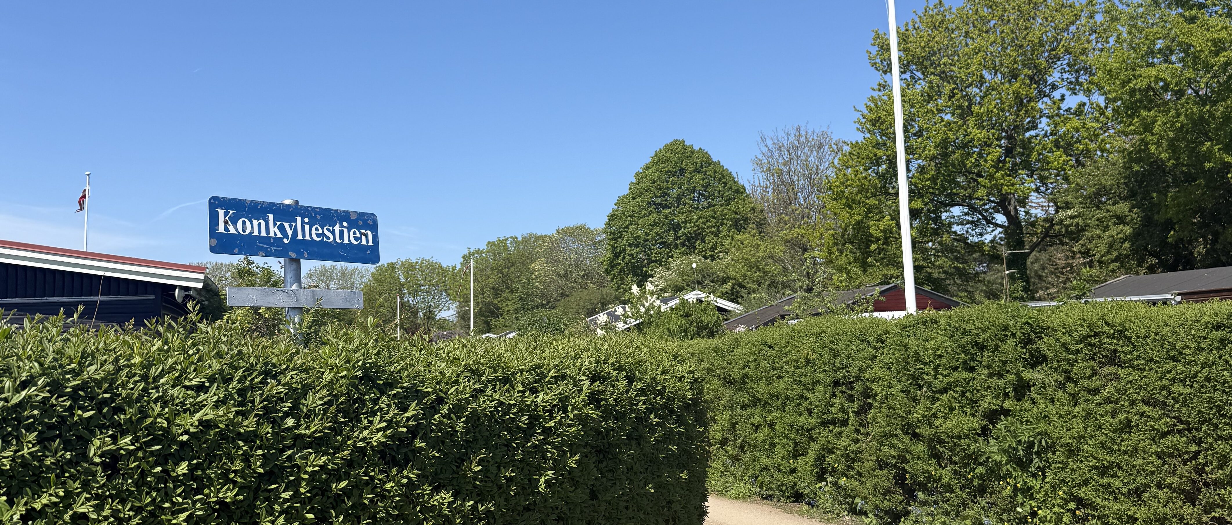 forening, øens ejendomsadministration, juni