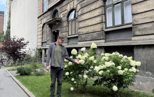 det sociale frikort. boligforening, førtidspensionist, ole tang
