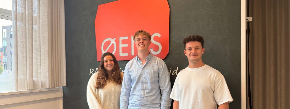 nye medarbejdere, kollega, job, øens